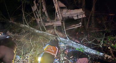 Düzce'de tomruk yüklü tır uçuruma yuvarlandı