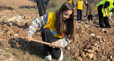 Gürsu'da yanan ormanlar yeniden yeşeriyor... 15 bin fidan toprakla buluştu