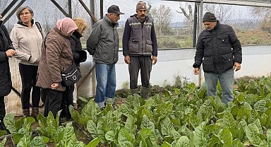 Kocaeli'de 65 yaş üstü bireyler tarımsal üretime katıldı