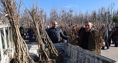 Kocaeli'de üreticilere yüzde 50 hibeli fidan dağıtımına devam