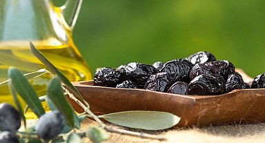 Marmarabirlik üçüncü dilim ödemelere hazırlanıyor... 622 milyon TL ödeme 5 Aralık'ta hesaplarda