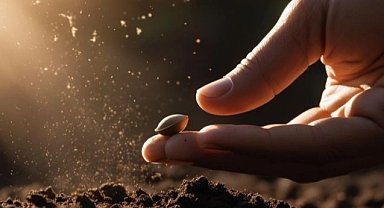 Tohumculuk sektöründeki 'Rekabet' soruşturması genişletildi... O soruşturmada yeni firmalar eklendi