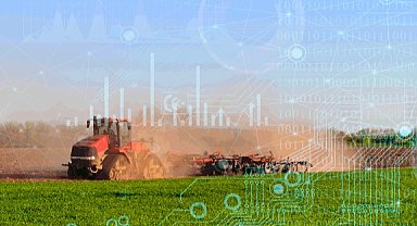 TÜİK 2025 bitkisel üretim verilerini açıkladı... Üretimde genel düşüş yaşandı