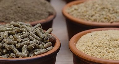 Yem Yönetmeliği'nde değişiklik 'Resmi'leşti... Gıdadan yeme büyük dönüşüm!