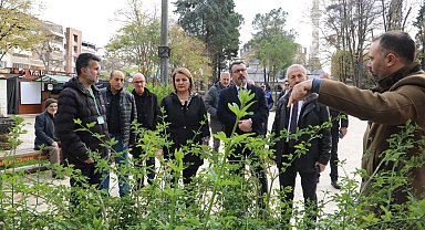 Yeni Cuma Parkı yaz aylarında botanik bahçesine dönüşecek