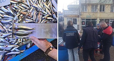 Bursa Orhaneli pazarında yasal boy altı istavritlere el konuldu