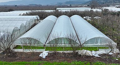 Bursa'da lodoszede seralara Büyükşehir desteği