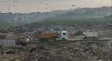 Bursa'daki katı atık alanına 1,8 milyon TL ceza!