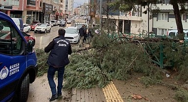 Büyükşehir ekipleri, şiddetli rüzgara karşı sahada