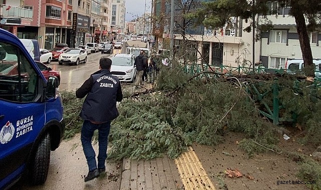 Büyükşehir ekipleri, şiddetli rüzgara karşı sahada