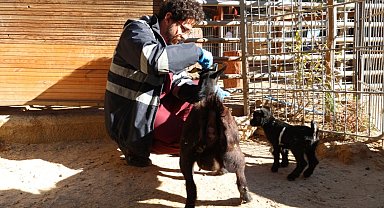 Doğal Yaşam Parkı'nda soğuk alarmı