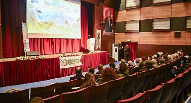 Eskişehir'de Mini Minikler Futsal Şenliği coşkusu başladı