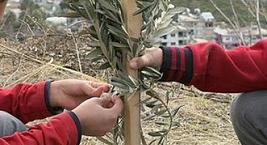 Geleceğe yeşil miras... Okul bahçeleri zeytin bahçelerine dönüşüyor