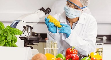 Gıda katkı maddelerine yeni düzenleme... İşletmelere 1 Mart'a kadar uyum süresi