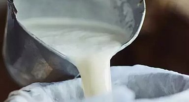 İçme sütü ve tereyağında düşüş... Ayran ve kefir üretimi arttı
