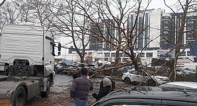 İstanbul'da fırtına: Ağaç devrildi, sahil yolları kapandı!