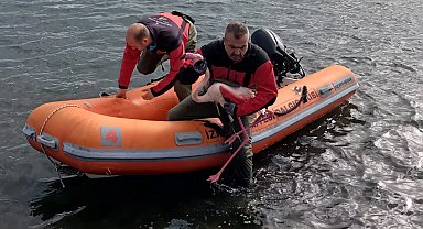 İzmir İtfaiyesi ayağına misina dolanan flamingoyu kurtardı