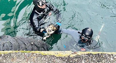 İzmir'de iskele altında sıkışan kediyi itfaiye kurtardı