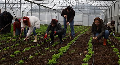 Kadın ve gençler tarıma kazandırılıyor
