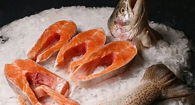 Karadenizin gururu... Türk somonu su ürünleri ihracatının yeni lokomotifi