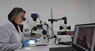 Kayseri Büyükşehir konservasyon laboratuarı kurdu