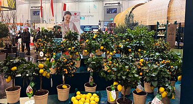 Kestel'in yeşil gücü Almanya'da görücüye çıktı