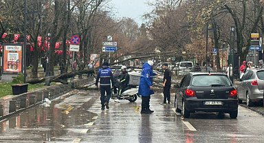 Kocaeli Büyükşehir'de lodos müdahalesi