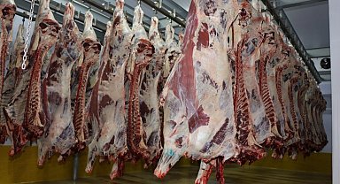 Kocaeli Mezbahası'nda 6 bin 29 kesim yapıldı