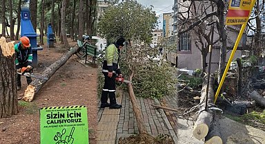 Lodos Bursa'yı vurdu! Büyükşehir sahada