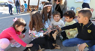 Muğla Büyükşehir 4 bin 34 cana yuva oldu