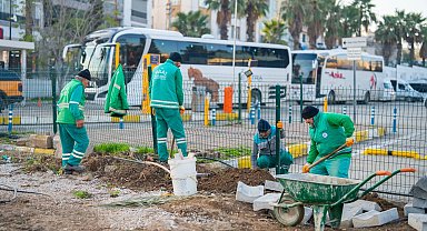 Muğla Milas yeşile bürünüyor