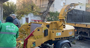 Muğla Milas'ta dal öğütme makinesi hizmette