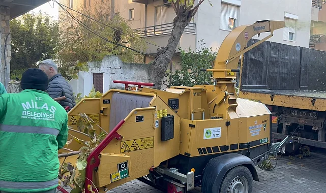 Muğla Milas'ta dal öğütme makinesi hizmette