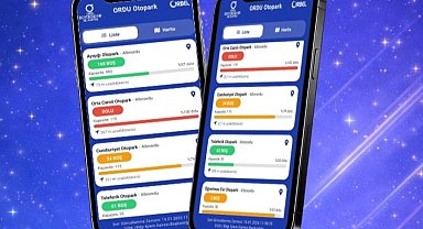 Ordu'da otopark bulmak artık çok kolay