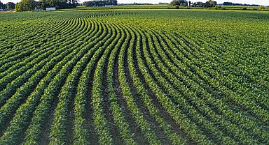 TAKE ile tarım arazileri daha verimli kullanılıyor