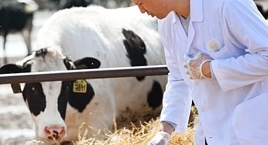 Tarımda maliyet yükü artıyor! Girdi fiyatlarında veteriner harcamaları zirveyi bırakmıyor!