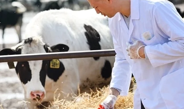 Tarımda maliyet yükü artıyor! Girdi fiyatlarında veteriner harcamaları zirveyi bırakmıyor!