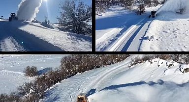 Tunceli'de karla mücadele: 223 köy yolu açıldı