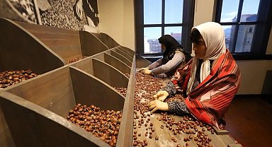 Türkiye'nin ilk fındık müzesi yoğun ilgi görüyor