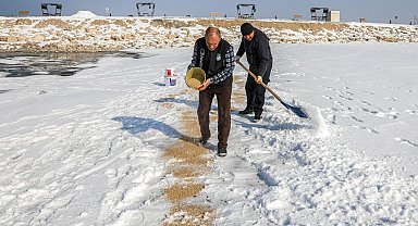 Van'da kuşlar için doğaya yem bırakıldı