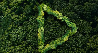 Yeşil Vatan finalistleri belli oldu... Ödüller 19 Ocak'ta