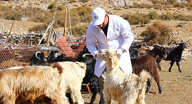 Antalya'da 'Çoban Haritası Projesi' büyüyerek devam ediyor