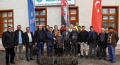 Bursa Büyükşehir'den üreticiye fidan ve tohum desteği