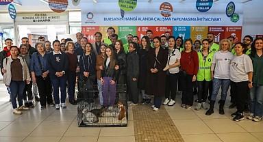 Bursa’da Dünya Kediler Günü’ne Özel Kedi Evi Atölyesi