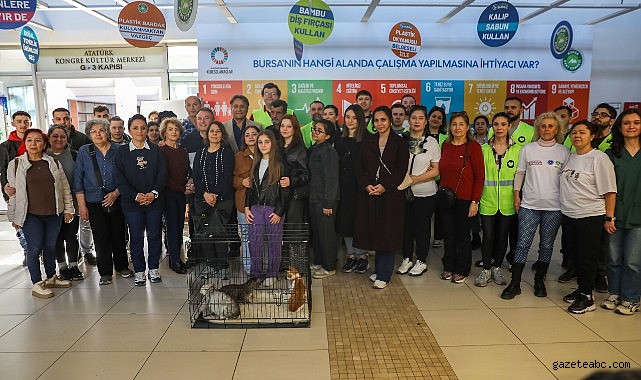 Bursa’da Dünya Kediler Günü’ne Özel Kedi Evi Atölyesi