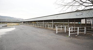 Bursa Yenişehir'de canlı hayvan pazarı yeniden açıldı