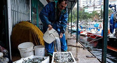 Bursa'da yüzde 100 hibeli mazot desteğine yoğun ilgi