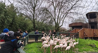 Çocuklar Bilimi ve Doğayı Fotoğrafladı