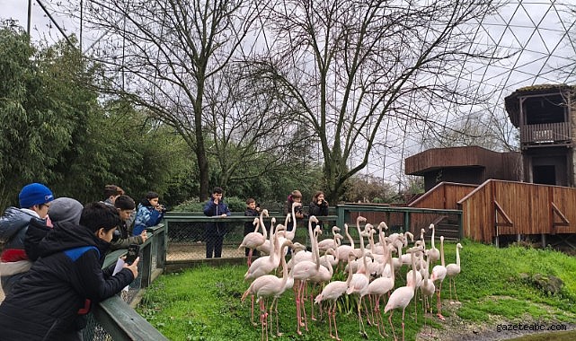 Çocuklar Bilimi ve Doğayı Fotoğrafladı