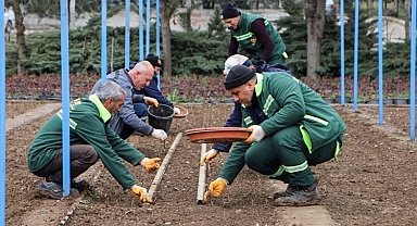 DBB kendi gülünü üretiyor, bu yıl hedef 25 bin fidan